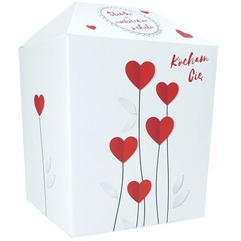 Śliwki w czekoladzie z chili 150g - "Kocham Cię"